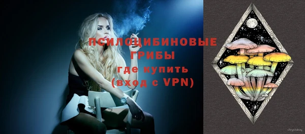 дживик Верхний Тагил