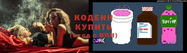 дживик Верхний Тагил