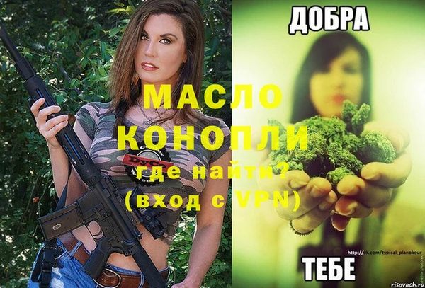 дживик Верхний Тагил